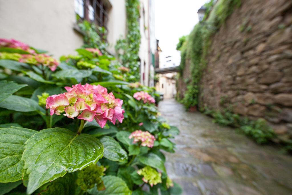 San Michele Al Borgo Bed & Breakfast Castiglion Fiorentino Dış mekan fotoğraf